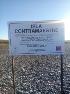 Isla Contramaestre se postula como otra gran  alternativa turística en la Región de Magallanes