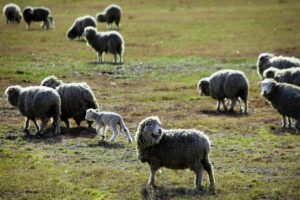 Mañana se abre Escuela  de Invierno para trabajadores del campo
