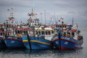 Dirigentes culpan a la Ley de Pesca por muerte de pescadores