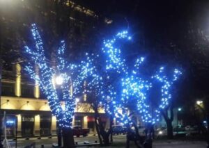 Iluminaron árboles de la Plaza de Armas de Punta Arenas