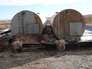 Ganaderos fueguinos piden medidas más drásticas para combatir el robo de animales