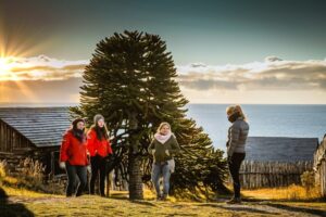 Conoce las diversas actividades que realizará Parque del Estrecho de Magallanes