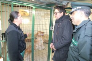 Buscan mejorar infraestructura de instalaciones del centro de adiestramiento canino de Gendarmería