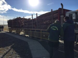 Fiscalización incauta cigarrillos de contrabando