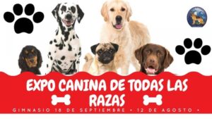 Grandes y chicos podrán disfrutar hoy de la Expo Canina 2018
