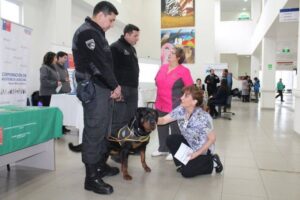 Los servicios atendieron en Porvenir