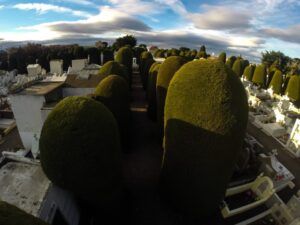 Cementerio Municipal y Fuerte Bulnes son favoritos de la gente para tesoro cultural
