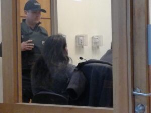 Intentó fugarse de Carabineros y lo detuvieron en el ante jardín de su casa