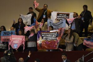 Ofensiva parlamentaria intenta frenar Ley de Identidad de Género