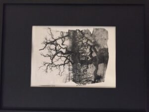 Hoy comienza exposición “Emulsiones Fotográficas”