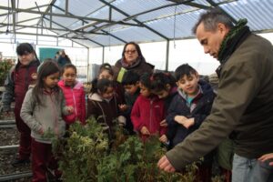 Alianza entre Cequa y escolares favorece la revegetación de espacios públicos