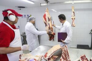 Seremi de Salud comenzó  fiscalización de carnicerías