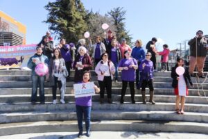 Piden tramitar con urgencia ley que garantiza tratamiento para cáncer de mama