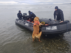 Carabineros llama a tomar resguardos al salir de la ciudad para evitar extraviarse