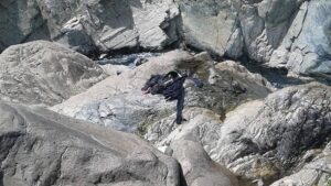 Encuentran sin vida a tres jóvenes desaparecidos desde el sábado en Antuco
