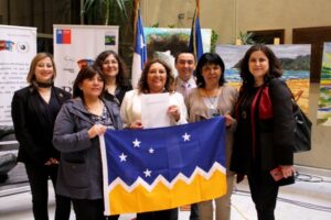 Diputada Amar solicitó incluir una glosa presupuestaria para bono del sector público