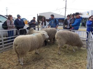 INIA celebrará sus 49 años con exposición abierta al público