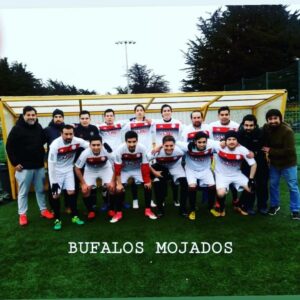 Listo los ocho equipos que buscarán el título del Clausura en la Liga Young