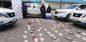 PDI incauta más de 100 kilos entre ostión y centolla almacenados en Punta Arenas