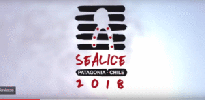 Inicia la XII Conferencia Mundial de Sea Lice en Punta Arenas