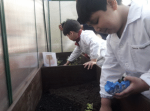 Alumnos de prebásica del Instituto Don Bosco lucieron su primer huerto