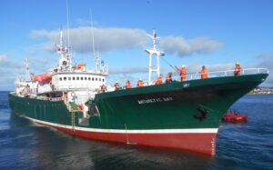 Advierten grave daño a la pesca regional de bacalao de profundidad