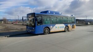 Línea 2 regresa este sábado al interior de  Zona Franca