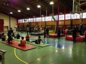 Millonario robo afectó al “Circo del Sur”:  Delincuentes sustrajeron diversas especies