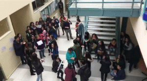 Más de 800 trabajadores a honorarios de la UMAG paralizan actividades académicas