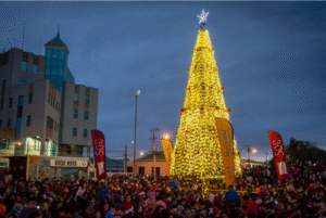 (Galería) Punta Arenas encendió anoche su tradicional árbol navideño en medio de una gran expectación