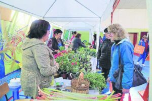 Se dio inicio a “feria saludable”