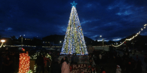 Las ciudades de Puerto Williams y Porvenir encendieron su árbol de Navidad
