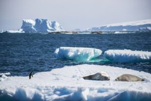 Chile y Argentina proponen una  nueva Área Marina Protegida