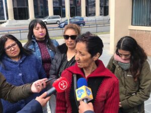 Sename solicitó al Tribunal proteger a menor que torturó brutalmente a su mascota