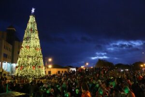 Magallánicos encenderán el tradicional árbol de Navidad