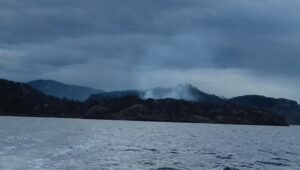Alerta amarilla por voraz incendio forestal que afecta a isla de la Provincia Antártica