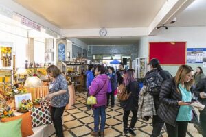 Dueñas de casas magallánicas son propensas a sufrir deterioros en la salud física y mental