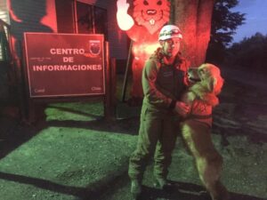 Can especialista en búsqueda de personas del GOPE encontró a joven extraviado
