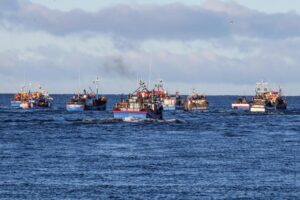 Caleta de Barranco Amarillo continuará con trabajos