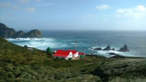 Chile crea el parque marino más austral de América
