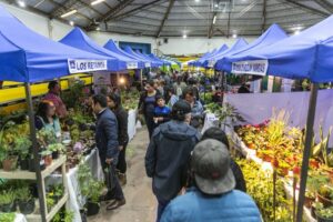 (Galería) Cerca de 30 mil personas asistieron a la  Expo Magallanes 2019