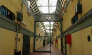Plaga de ratones afecta a Centro Penitenciario de Punta Arenas