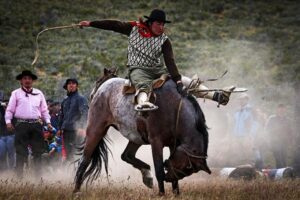 Jineteadas, peña y mucho más: Municipalidad de Torres del Payne prepara gran Fiesta a la Chilena