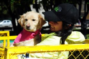 17 mil mascotas sin registrar existen en Punta Arenas