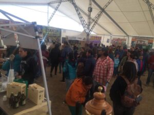 (Galería) Con gran éxito concluyó ayer la sexta  Fiesta de la Cerveza en Puerto Natales