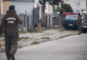 Vecinos del Barrio 18 manifiestan temor de salir a la calle ante ataques de perro