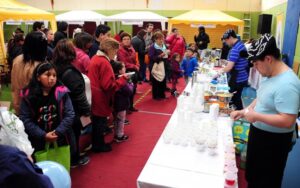 Proyecto de centro hortofrutícola  en Punta Arenas sigue congelado