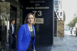 Senadora Goic analiza su año legislativo  y proyecta los desafíos para 2019