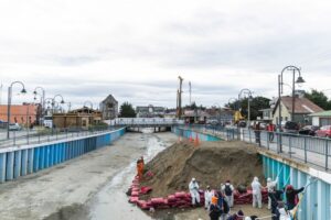Vecinos denuncian aumento de ratones y claman ayuda de algún ente gubernamental