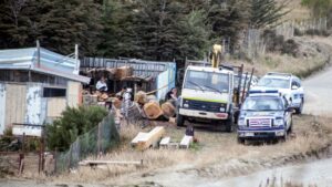 Tragedia: trabajador de aserradero muere golpeado por chuzo en medio de faena